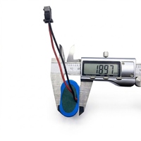 Baterai Isi Ulang LiFePO4 18650 2P 3.2V 3000mAh Paket Baterai Lithium dengan Pcb dan Konektor SMP-2P
