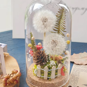 Hecho a mano Real diente de león flor seca planta inmortal espécimen cubierta de vidrio Micro paisaje decoración de escritorio adornos graduación - Product Image 1