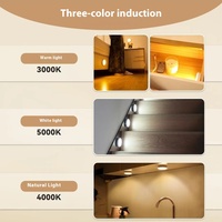Lumière de plafond LED moderne à détecteur de mouvement rechargeable par USB, télécommande, trois couleurs, lumière de nuit magnétique pour salon