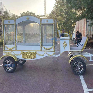 Carro Fúnebre Eléctrico Clásico con Cubierta de Cristal, Modelo 2026, de Gran Venta - Carro de Caballos Eléctrico para Transporte Especial en Oferta - Product Image 4