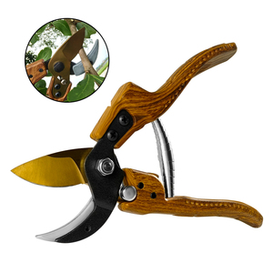 Hot-selling SK5 Lâmina Jardim Poda Tesouras Frutas Ramos Flor Floresce Frutas Árvores Ferramentas Aparar Jardinagem Tesoura - Product Image 1