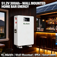Baterai Lithium 51.2V 48V 300Ah 15kWh untuk Sistem Tenaga Surya Terpasang di Dinding dengan Roda