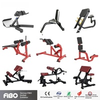 Banc d'hyperextension multifonctionnel commercial moderne, chaise romaine de gym, machine d'extension dorsale, durable, écologique, unisexe, sécuritaire