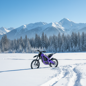 Motocicleta Eléctrica Agresiva de 96V con Batería de Litio de 30Ah, Velocidad Máxima de 95km/h, Frenos de Disco Hidráulicos para Máximo Control, EMB2.0 96V 30Ah Extraíble - Product Image 3