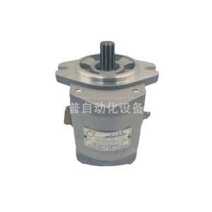 Pompe de direction assistée Liwei Qc1613 4dxzy Yt, pompe à engrenages haute pression, arbre vertical, rotation avant-arrière - Product Image 1