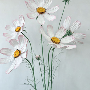 Rama Individual de Margarita Artificial <span class=keywords><strong>Cosmos</strong></span>, Tamaño y Colores Personalizados, Flor de Papel de Lujo para Eventos y Celebraciones Premium - Product Image 4