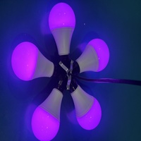Guirnalda de Luces LED DMX512 de 80 mm, 24 V CC, RGB, para Interiores y Exteriores, Bombillas Decorativas