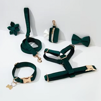 Collier de luxe en velours personnalisé pour laisse de chien entraînement pour animaux de compagnie marche harnais réglable pour chien ensemble de laisse et collier