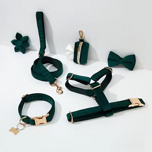 <span class=keywords><strong>Collar</strong></span> de correa de perro de lujo de terciopelo personalizado entrenamiento de mascotas caminar arnés de perro ajustable conjunto de Correa y <span class=keywords><strong>collar</strong></span> conjunto - Product Image 1
