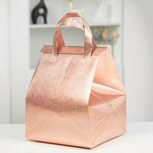 Sac isotherme en tissu non tissé, sac à déjeuner, glacière, sac à déjeuner pour enfants pour l'école, restauration rapide, nourriture fraîche, à emporter, glacière - Product Image 1