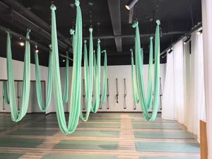 Hamac <span class=keywords><strong>volant</strong></span> pour yoga aérien, <span class=keywords><strong>trapeze</strong></span> rose et support, hamac de fitness anti-gravité en nylon - Product Image 4