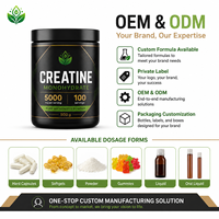Créatine monohydrate micronisée pure en poudre, 5000 mg par portion, 100 portions, complément post-entraînement pour la force musculaire et l'endurance, 500 g