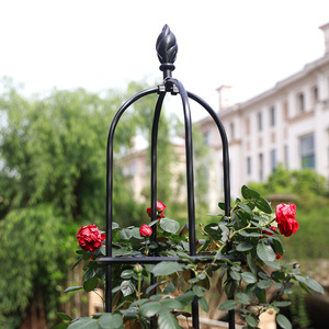Supporto per Piante Rampicanti, Scaffale per Clematidi, Struttura di Supporto per Rose e Piante da <span class=keywords><strong>Giardino</strong></span> - Product Image 2