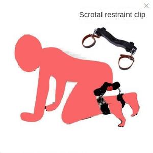 Clip di Contenimento per Scroto SM, Manette per Piedi, Accessori per Tortura, Strumenti Sessuali Divertenti, Dispositivo di Punizione per Schiavi Maschi, Dispositivo di Addestramento Yang - Product Image 1