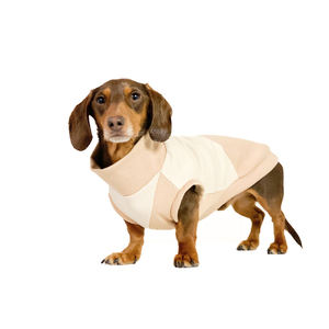 Qiqu fournitures pour animaux de compagnie personnalisé nouveau designer chien pull jersey <span class=keywords><strong>teckel</strong></span> vêtements deux tons neutre pull wiener chiens pour petits chiens - Product Image 1