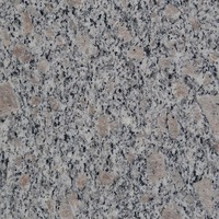 Carreaux de revêtement mural et de sol en granit poli de haute qualité, modèle G383, motif fleur de perle, découpés sur mesure 300x300, pour villas modernes