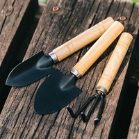 Ensemble d'outils de jardinage en 3 pièces, manche en bois, fer, pour ameublir la terre, planter, truelle, cultivateur pour fleurs d'intérieur, bonsaï
