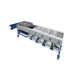 Belt Fruit Sorting Machine Fruit Roller Grader Roller-fruit-sorting-machine - Product Image 5