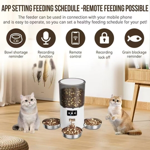 TUYA APP 3 coups mangeoire automatique pour chats capacité 6L bols en céramique intelligents accessoires pour animaux de compagnie