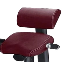 Haute qualité vente chaude musculation équipement de force machine commerciale équipement de fitness de gymnastique extension de dos