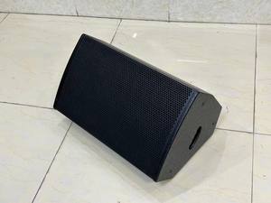 OEM ODM VD-10 10 Inch Monitor <b>Speaker</b> with 66mm Voice Coil 90°*60° Coverage 250W RMS Suited for Hotels Conference Rooms - Product Image 3