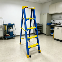 Échelle en aluminium portable ODM avec conception facile à transporter pour l'entretien
