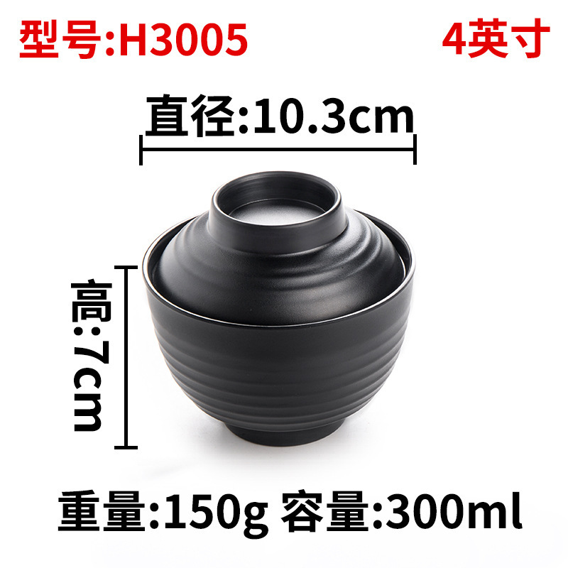 H3005