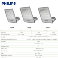 PHILIPS LED Flutlicht Area Star BVP25X Außenbeleuchtung für Sportstätten Einfache Installation BVP251 BVP252 1-10V Dimmbar philips