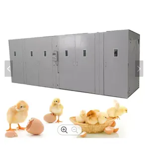 Incubateur d'œufs de poule 1056-5280, équipement d'incubation polyvalent intelligent de nouvelle génération