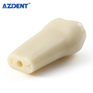 Modello Dentale Tipodonto Compatibile con Frasaco <span class=keywords><strong>AG3</strong></span> Tipo 32, Set di Denti Rimovibili per Pratica di Preparazione e Riparazione Carie - Product Image 1