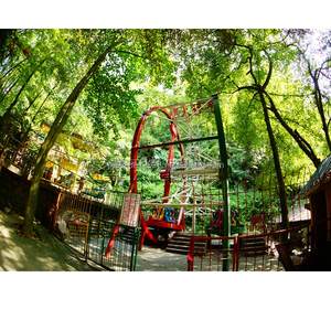 Manège Manège parc d'attractions pas cher pour enfants manèges grand anneau voiture parc d'attractions manèges grande roue à vendre - Product Image 4