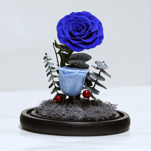 Yunnan Culinan classico tipo di rosa bellezza rosa bella e bestia conservato rosa di bellezza e la bestia - Product Image 5