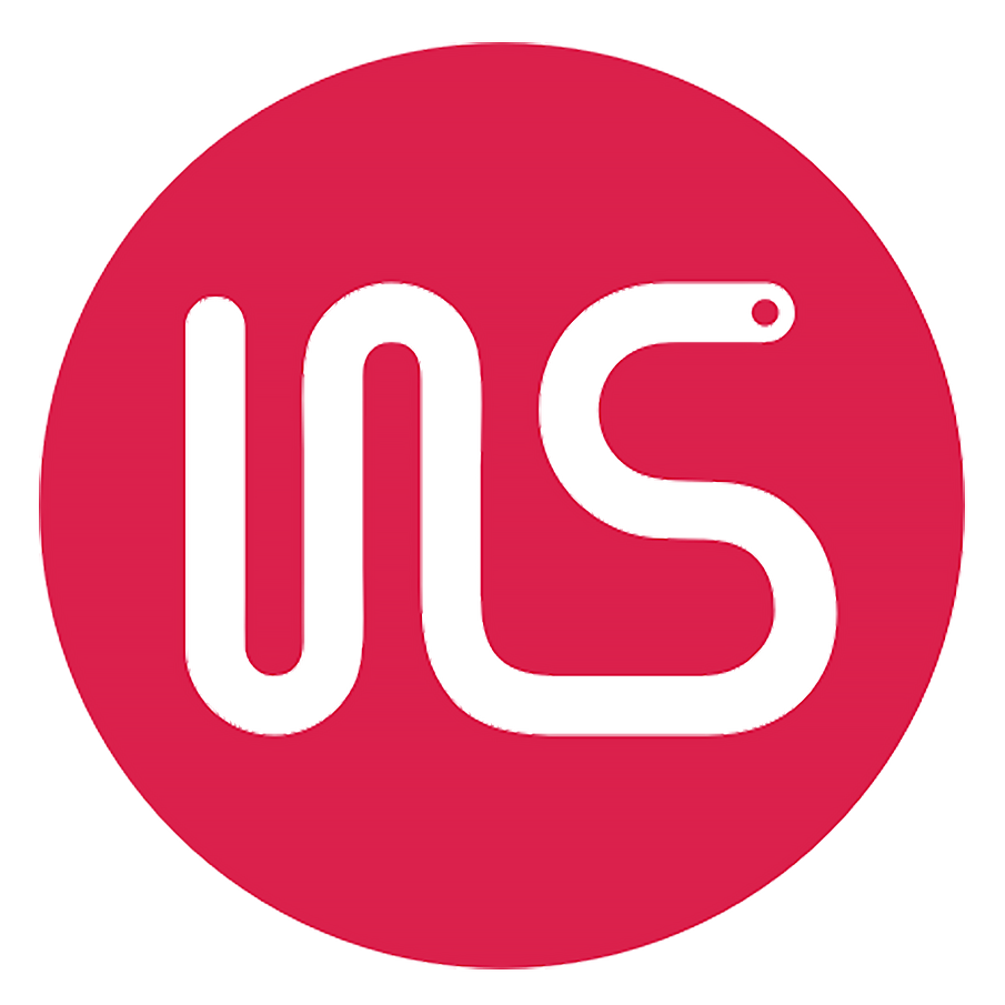 Chongqing Newsong Automation Equipment Co., Ltd. logo