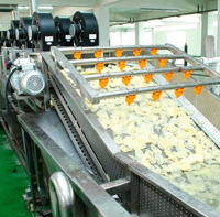 Volledig automatische chips productielijn voor aardappel-, banaan-, zoete aardappel-, taro- en cassavechips; turnkey snackverwerkingslijn
