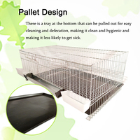 ZZ LMC 17 Production d'oeufs métal pliable volaille vivante mangeoire buveur caca automatique Cages de caille