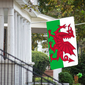 Drapeau du <span class=keywords><strong>pays</strong></span> <span class=keywords><strong>de</strong></span> <span class=keywords><strong>Galles</strong></span> en gros personnalisé tous les <span class=keywords><strong>pays</strong></span> drapeau national 3x5 FT extérieur suspendu fibre <span class=keywords><strong>de</strong></span> polyester livraison rapide personnalisé - Product Image 4