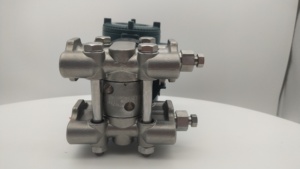 Transmetteur différentiel Yokogawa série EJA/EJX Veuillez fournir le numéro de modèle complet - Product Image 2