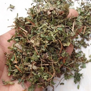 Lygodium Japonicum Seco Natural <span class=keywords><strong>para</strong></span> la Caída de cálculos <span class=keywords><strong>Renales</strong></span> y Alivio Urinario, Hierba de Medicina Tradicional China, Venta al por Mayor, OEM, ODM - Product Image 3