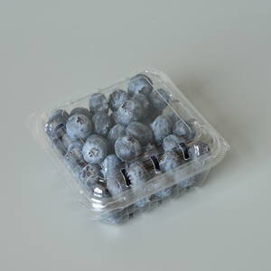 Dùng Một Lần Nhựa 125G Dâu Tây <span class=keywords><strong>Punnet</strong></span> Và Blueberry Vỏ Sò Khay Bát Cho Phục Vụ Trái Cây Cookie Bánh Mì Mì - Product Image 2