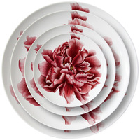 Paibee OEM Vente en gros Ensemble de vaisselle en porcelaine fine à motif floral chinois classique et traditionnel, style rétro pivoine