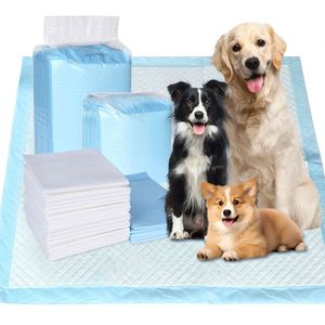 Tapis d'entraînement pour chiens de grande race Kaida Polymer SAP, taille géante - Product Image 1