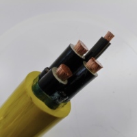 Conducto Metálico Blindado de Cobre Tipo MC-HL para Ubicaciones Peligrosas CULus, Hermético al Gas, con Aislamiento FR-XLPE de 600V e IP44