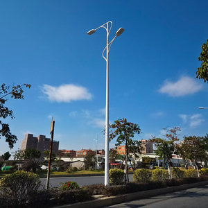 Üreticilerin Çift Kollu Alüminyum Sokak Aydınlatma Direği Yol Dış Mekan Lamba Direkleri 10FT 15FT 20FT 25FT 30FT 35FT 40FT - Product Image 6