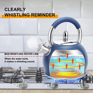 Multifunction Black Low <strong>Wattage</strong> Teapot <strong>Kettle</strong> Stainless Steel Double Stovetop Water <strong>Kettle</strong> - Product Image 3