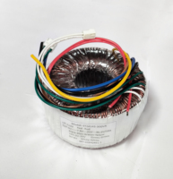 Transformateur toroïdal haute efficacité ST personnalisé 50VA 100VA 300VA 110V 220V vers 12V 24V Module de transformateur de puissance