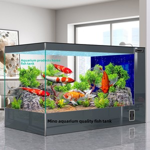 Acuario de cristal ultra transparente para interiores, modelo 2025, con filtro lateral, sin necesidad de agua, para sala de estar, ideal para peces Koi. - Product Image 3