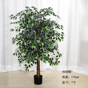 Bonsái Artificial de Plástico, Árbol de Banyan de Alta Calidad, Simulación de Árbol Verde en Maceta para Interiores, Sala de Estar, Jardín - Product Image 2