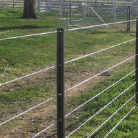 Vente en gros Poteau de clôture en Y galvanisé à chaud 4ft 5ft 6ft 8ft Poteau de clôture en T pour clôture de ferme en métal et acier