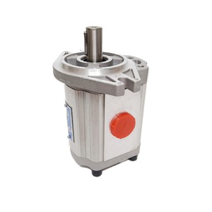 Pompe à engrenages CBF série F4 en alliage d'aluminium 20MPa pour distribution d'huile hydraulique, installation par bride, arbre vertical, entraînement électrique - Product Image 2