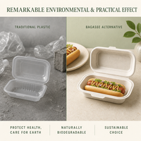 Contenitore per Hot Dog in Bagassa di Canna da Zucchero Compostabile ed Ecologico, Scatola Biodegradabile Usa e Getta per Cibo da Asporto